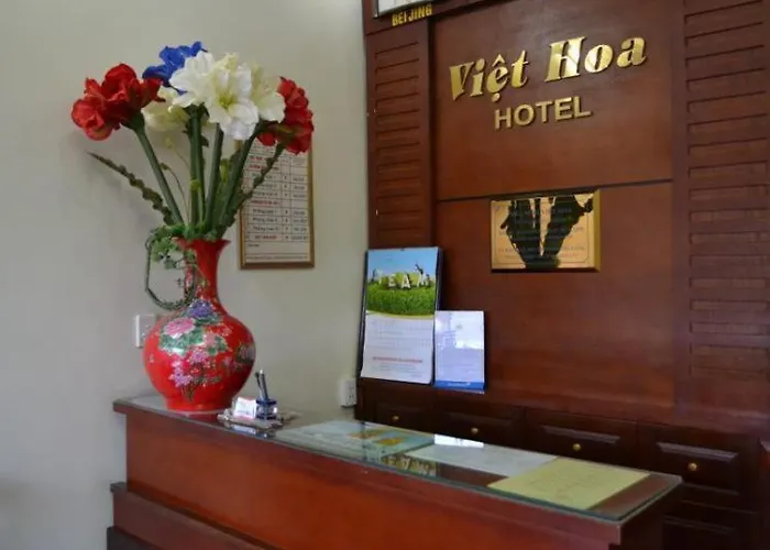 Viet Hoa *